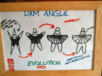 /pages/dxm-angel/gallery/evolution.jpg